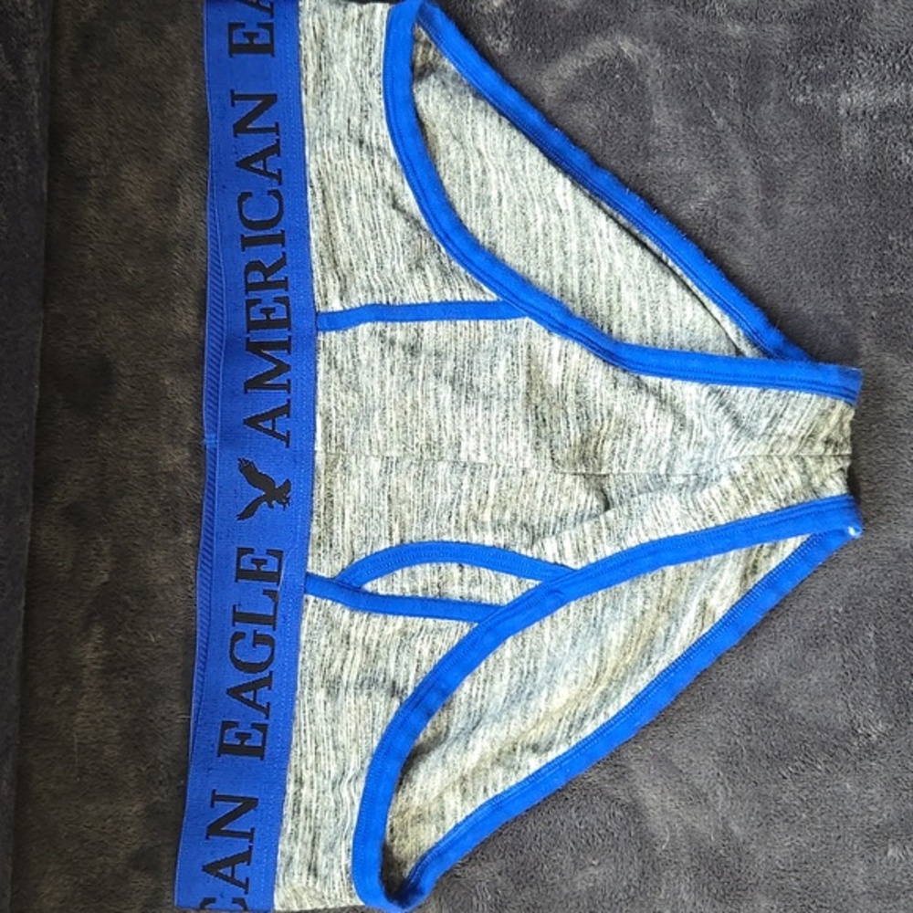 Vintage RARE American Eagle Briefs w/Fly - Gray/Blue